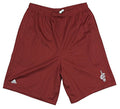 Adidas NBA Men's Cleveland Cavaliers Basketball Mesh Shorts, Wine