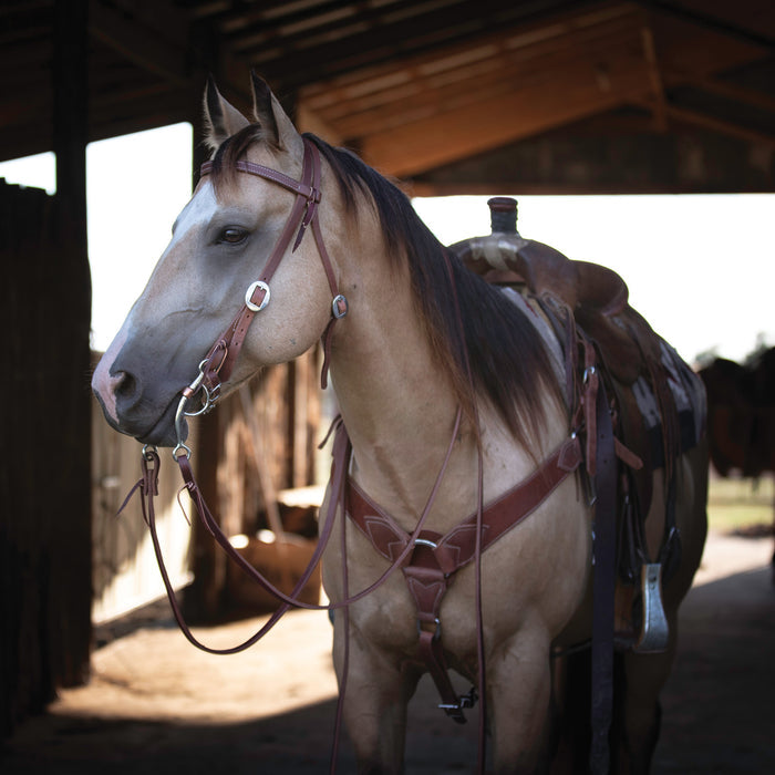 Oiled Hermann Oak Harness Leather Browband Headstall