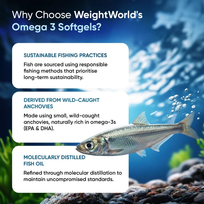 weightworld-uk-omega-fish-oil-tablet-bottles-04