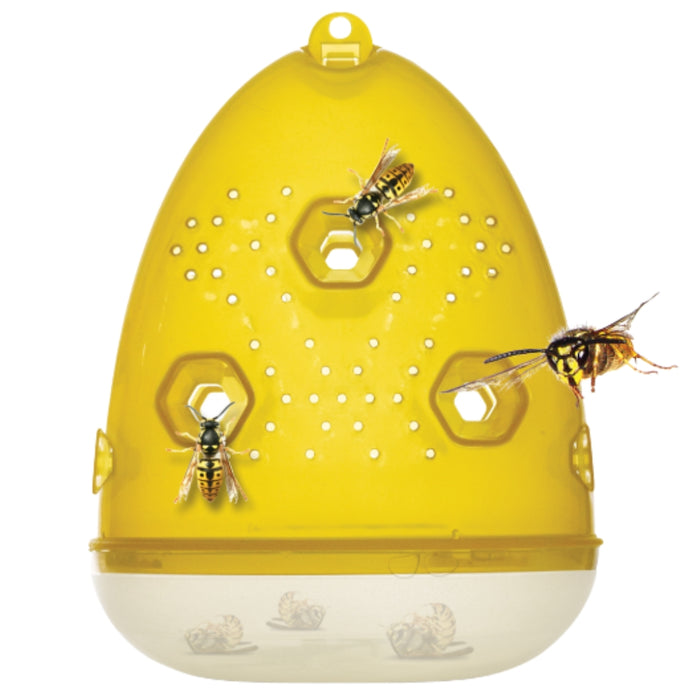 Organ-X Wasp Trap