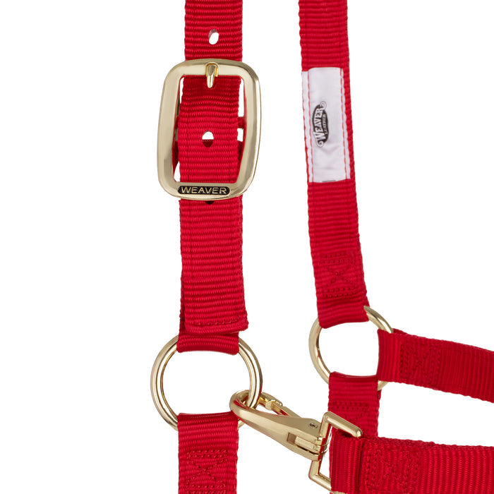 Original Adjustable Chin and Throat Snap Halter, 1" Draft