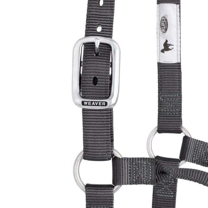 Original Non-Adjustable Nylon Halter, Chrome Plated Hardware, Average