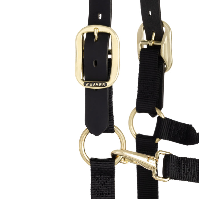 Original Padded Breakaway Halter Adjustable Chin, Throat Snap