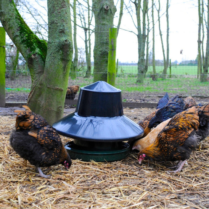 Outdoor King Feeder