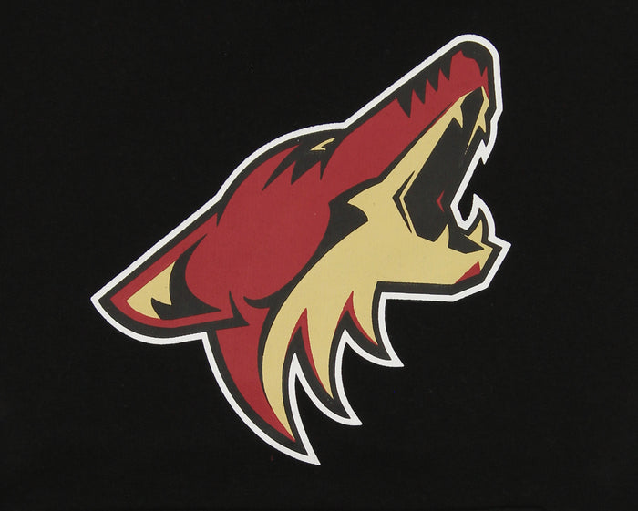 Outerstuff NHL Youth Arizona Coyotes Primary Logo Fleece Hoodie