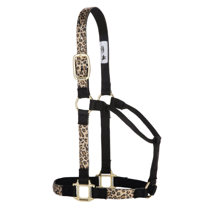 Leopard / Small