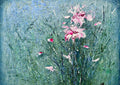 Pink Lilies in the Grass by Marina Agre - pale pink flowers in blue-green grass