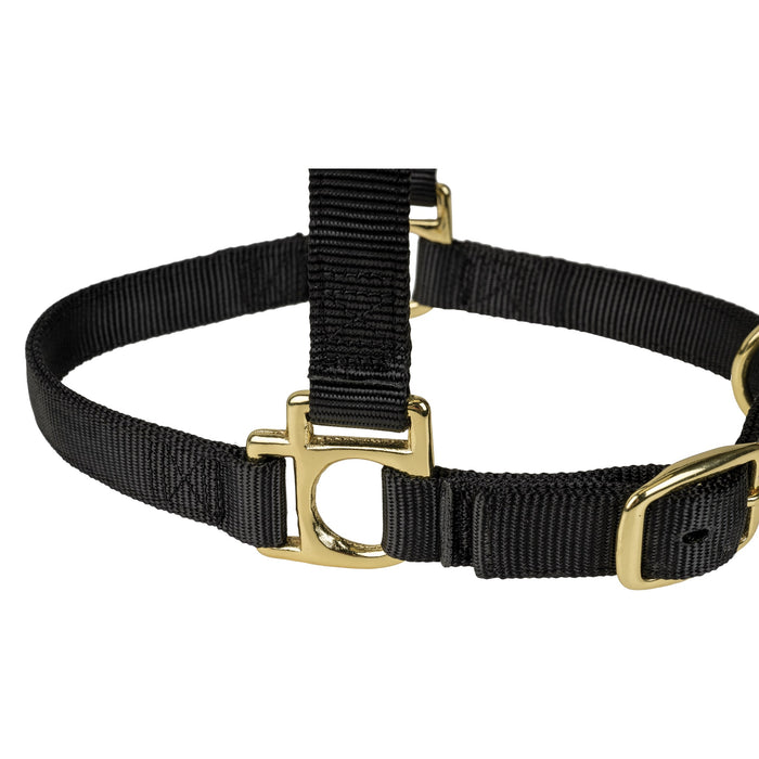 Poly Horse Halter, Adjustable, Weanling to Large