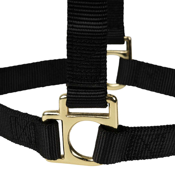 Poly Horse Halter, Non-Adjustable, Weanling to Large