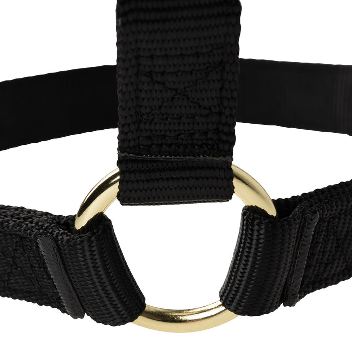 Poly Horse Halter, Non-Adjustable, Weanling to Large