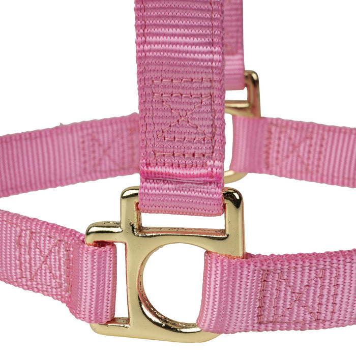 Poly Horse Halter, Non-Adjustable, Weanling to Large