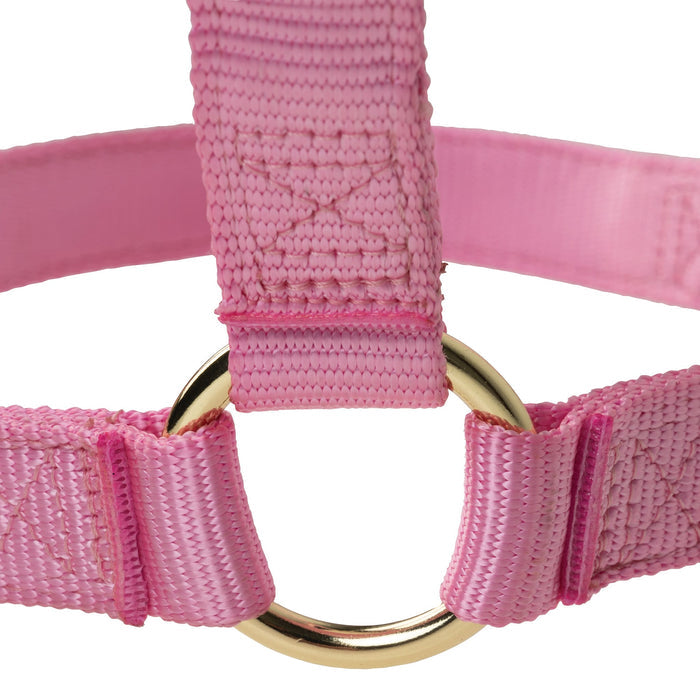 Poly Horse Halter, Non-Adjustable, Weanling to Large