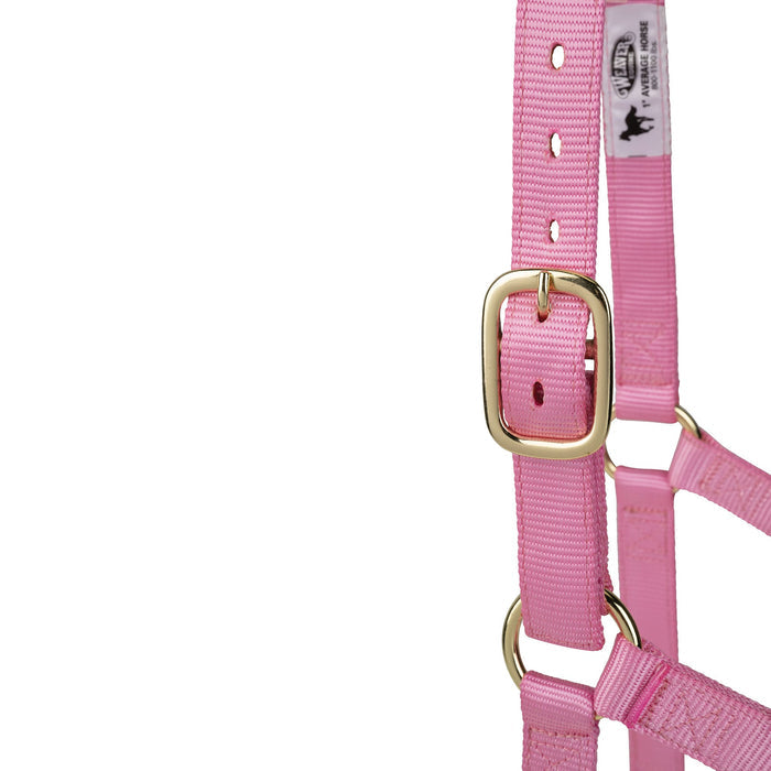 Poly Horse Halter, Non-Adjustable, Weanling to Large