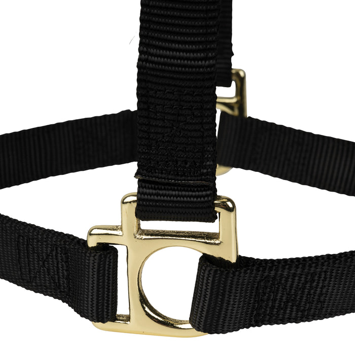 Poly Horse Halter, Non-Adjustable with Throat Snap, Weanling to Large