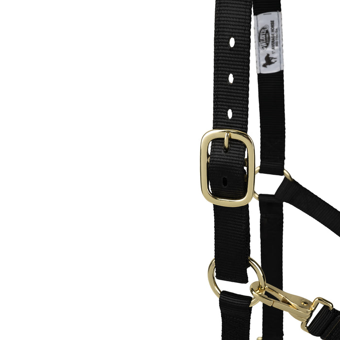 Poly Horse Halter, Non-Adjustable with Throat Snap, Weanling to Large