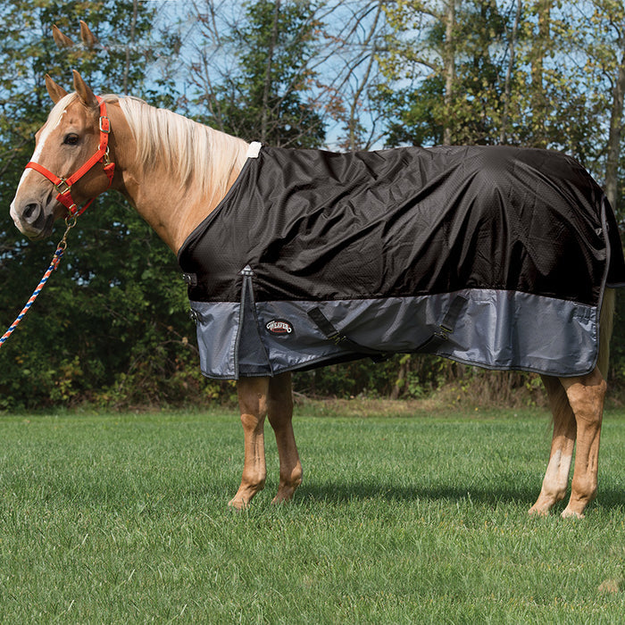 Premium Horse Blanket for Turnout, Medium Weight 200g Fill, 600 Denier