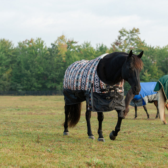 Premium Horse Blanket for Turnout, Medium Weight 200g Fill, 600 Denier