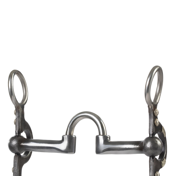 Professional Argentine Bit, 5" Sweet Iron Polished Low Port Correction Mouth with Copper Inlay