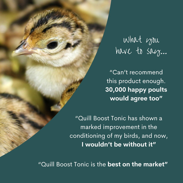 Quill Boost Tonic | 20L & 200L
