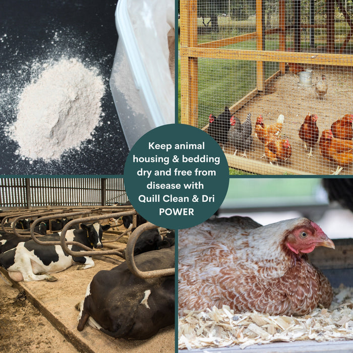 Quill Clean & Dri POWER Disinfectant Powder