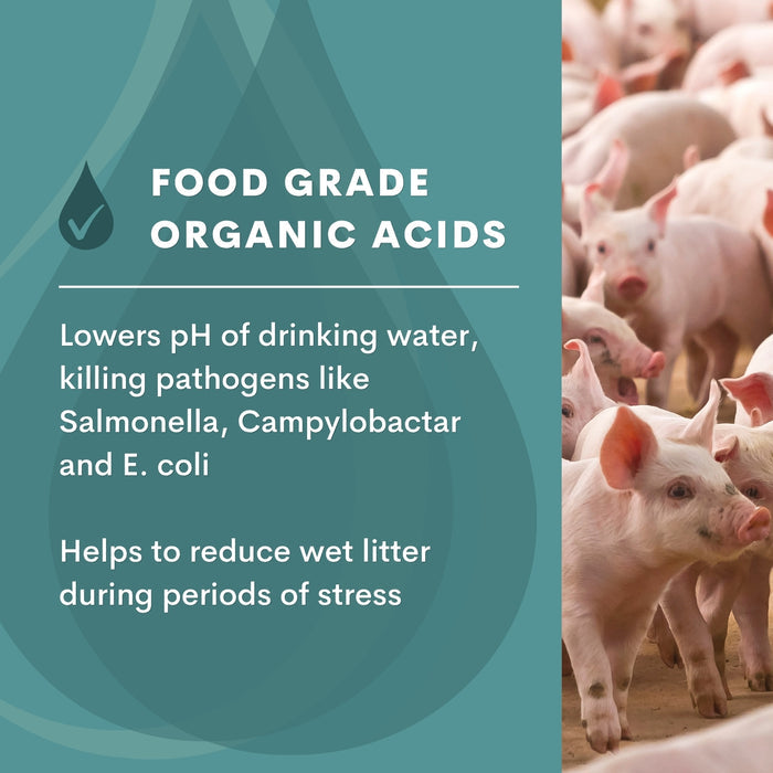 Quill Complete Organic Acid | 1L & 5L
