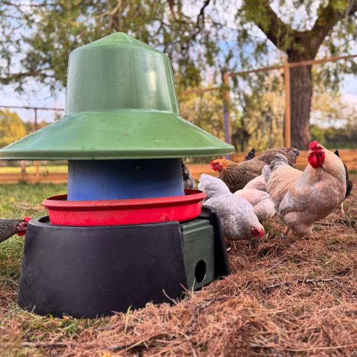 Quill Feeder Stand
