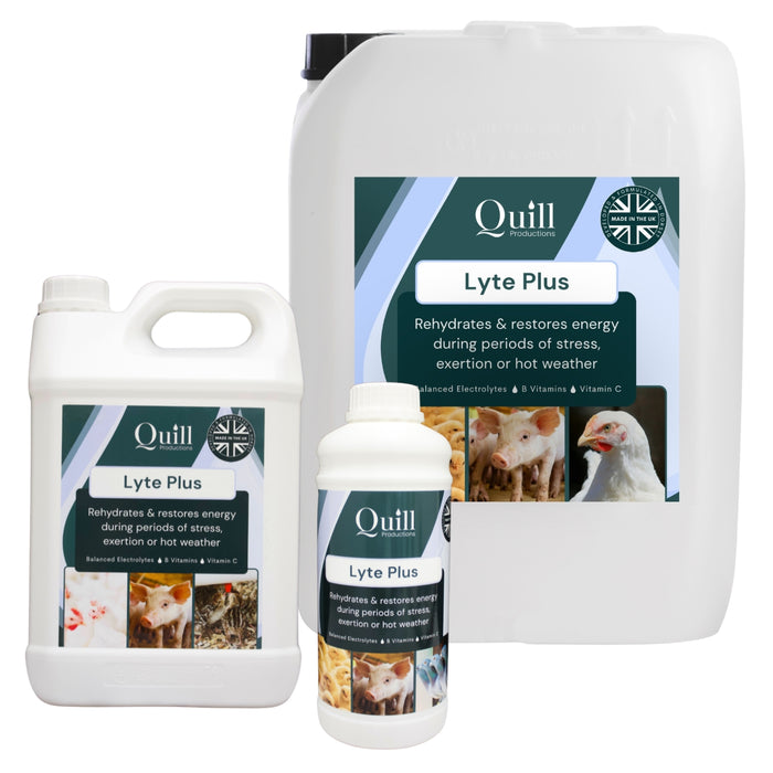 Quill Lyte Plus | 1L, 5L & 20L