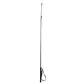 Riding Whip with PVC Handle, 30" Shaft
