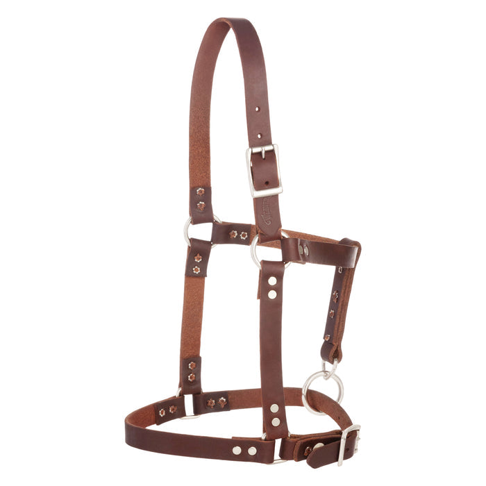 Riveted Halter