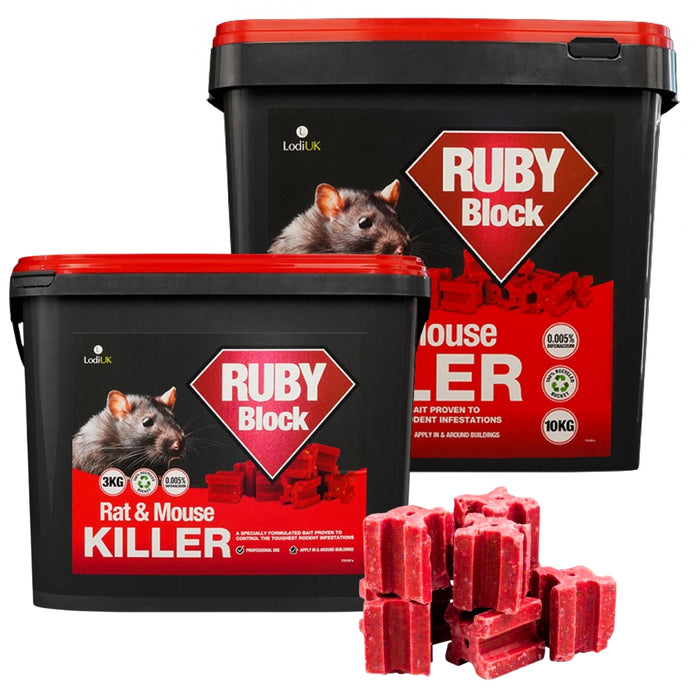 Ruby Block