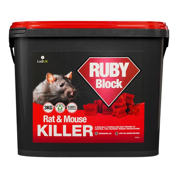 Ruby Block