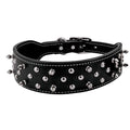 Spike Collar, Black, 2" x 21"