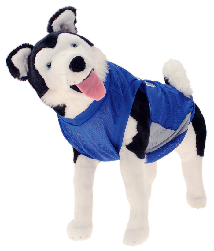 Sporty K9 NBA Dallas Mavericks Basketball Dog Jersey