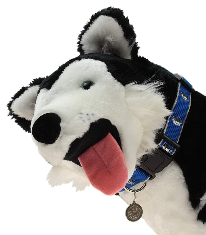 Sporty K9 NBA Dallas Mavericks Reflective Dog Collar, Blue, Small