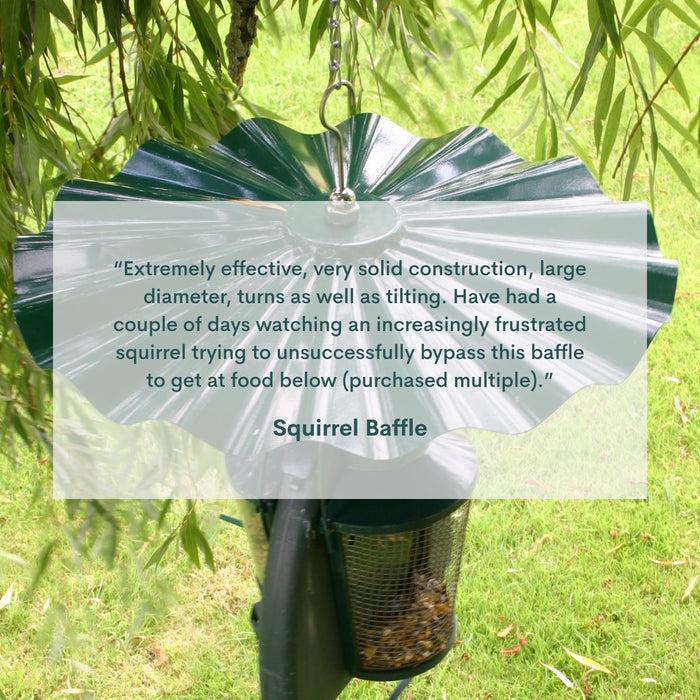 Squirrel Baffle