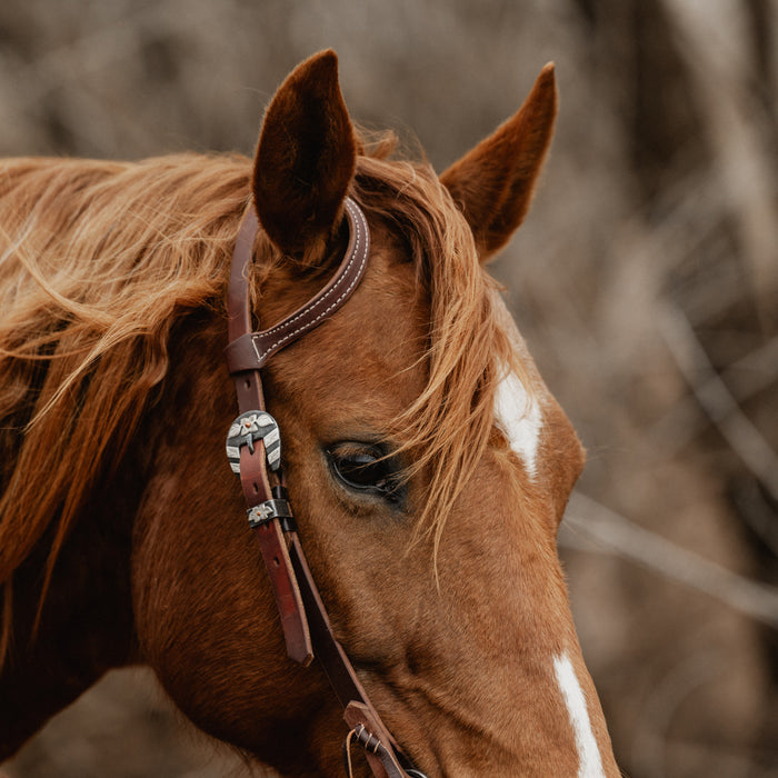 STS Ranch Signature Tack Harness Leather Sliding Ear Headstall, 3/4"