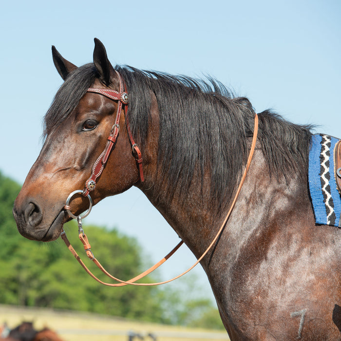 Texas Star Chestnut Browband Headstall