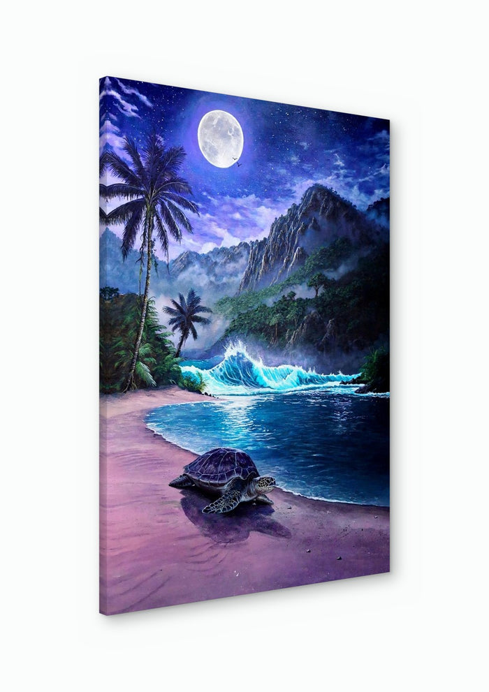 Where moonlight sleeps - Alan Minshull