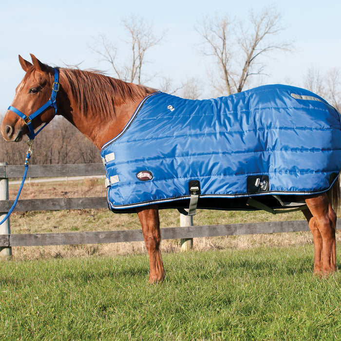Winter Horse Stable Blanket, Heavy Weight 300g Fill, 420 Denier