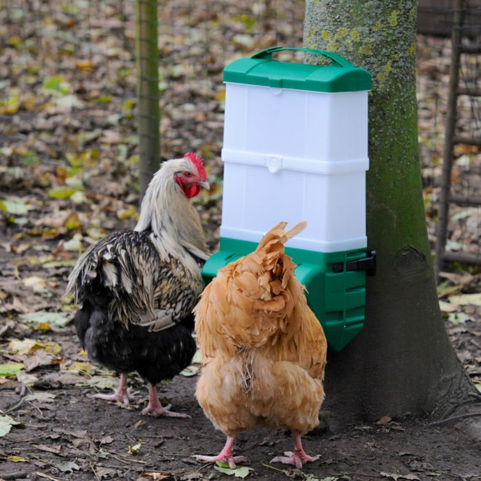 Wise Mountable Cage Wall Feeder