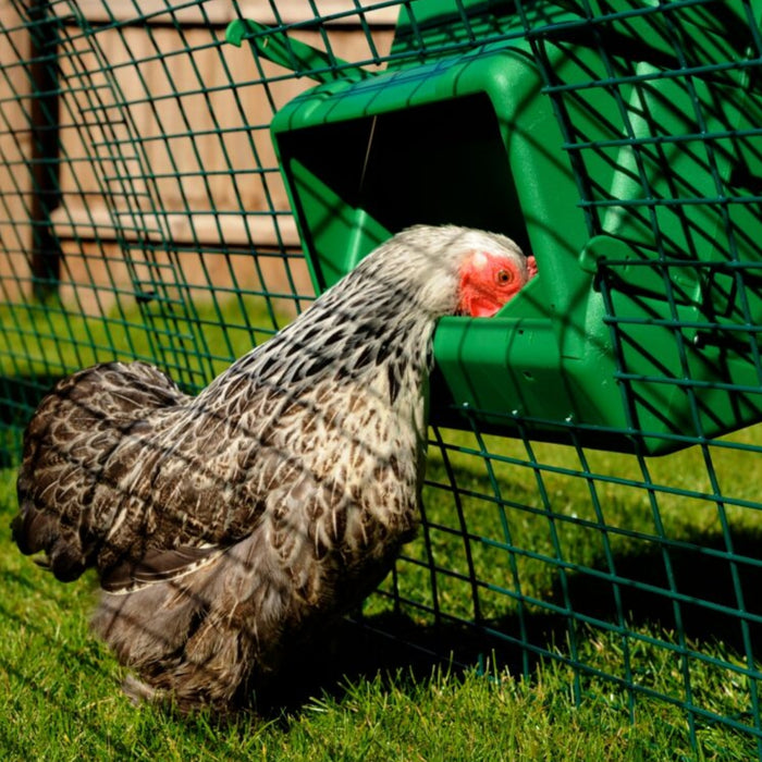 Wise Mountable Cage Wall Feeder